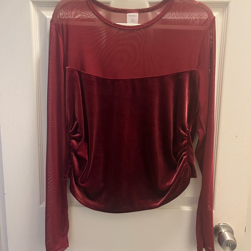 Wild Fable Velvet Long Sleeve Sheer Velour Top - Burgundy